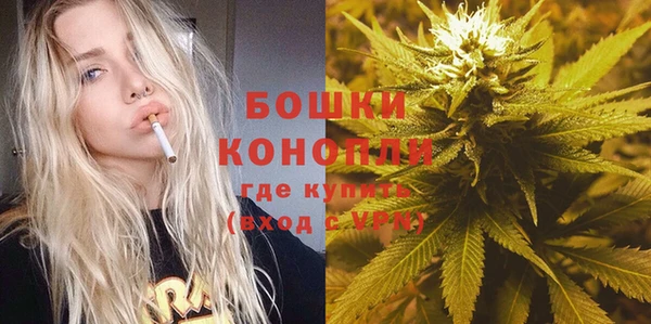 a pvp Аркадак
