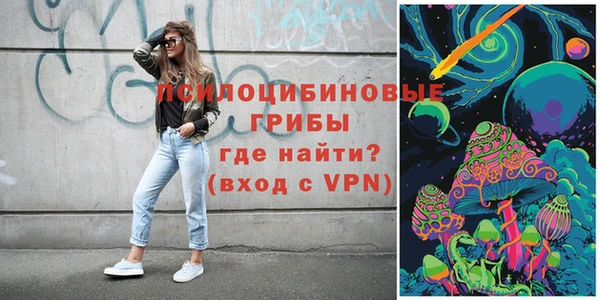 a pvp Алексин